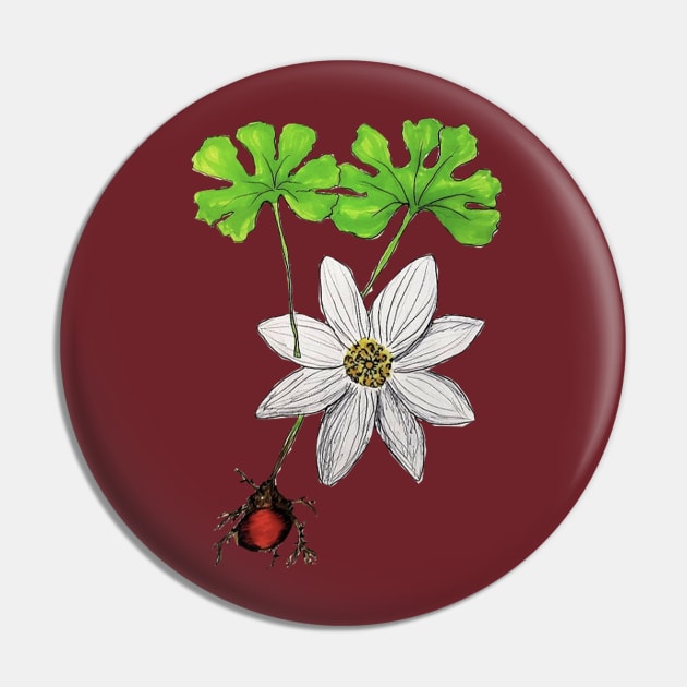 Bloodroot Flower Pin by Animal Surrealism