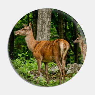 Red Deer Doe And Fawn Pin