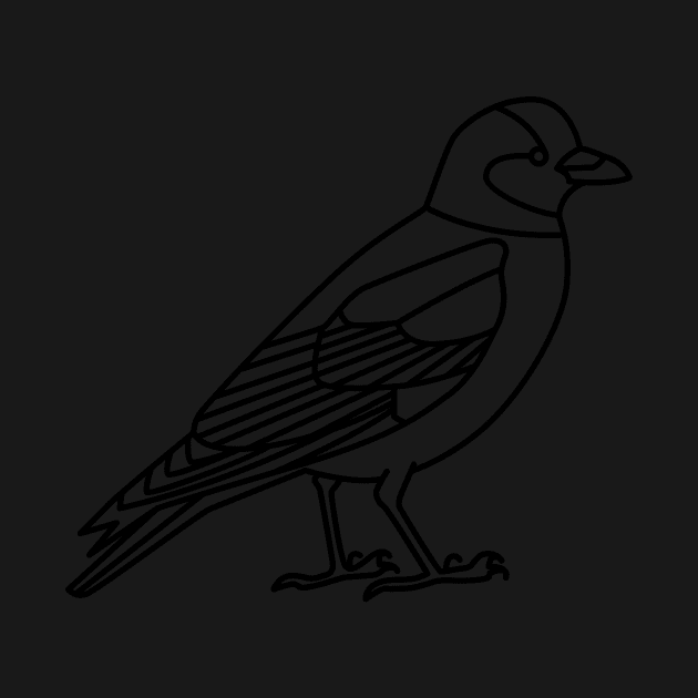 Jackdaw by Radradrad