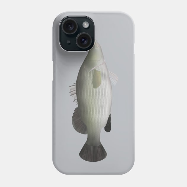 Nile Perch Phone Case by FishFolkArt