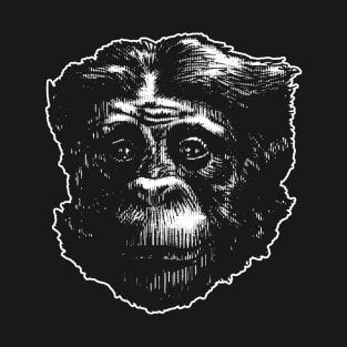 Bonobo T-Shirt