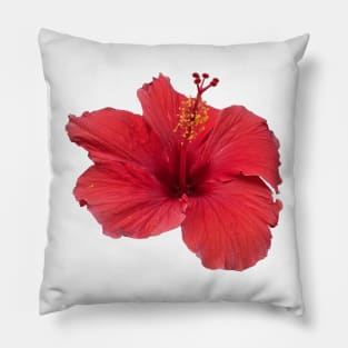 Red Hibiscus Pillow