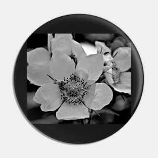 Glacier National Park Wild Flowers, black and white2 Pin