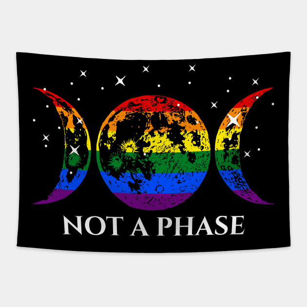 Funny Lesbian Pride Flag Not A Phase Tapestry by BrightGift