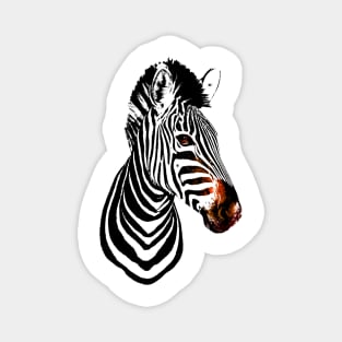 Zebra Black Stripes Magnet