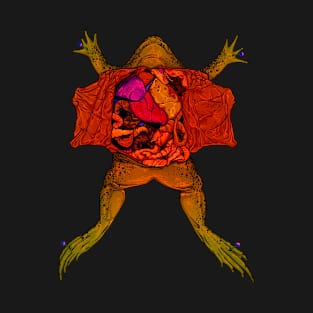 Dissected Frog T-Shirt