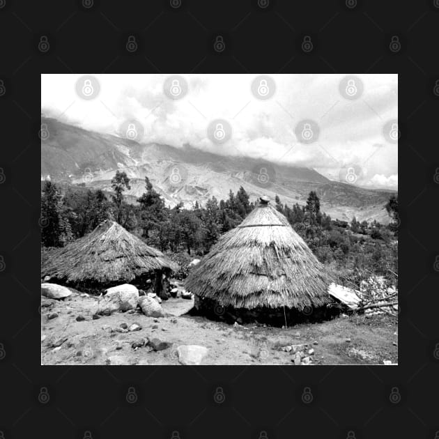 Vintage Photo of Andean Dwellings by In Memory of Jerry Frank