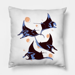 Flying High 4 Pillow