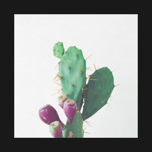 Prickly Pear by Cassia