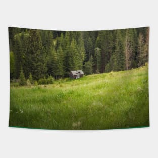 Picturesque Carpathians Scene Tapestry