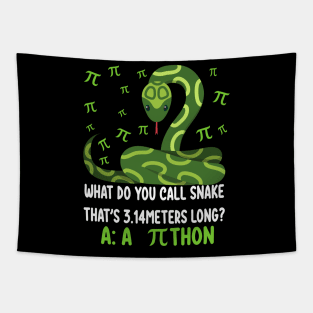 Funny Python Pithon Pi 3.14 Symbol Math Teacher Pi Day 2023 Tapestry