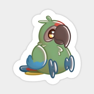 Military Macaw Magnet