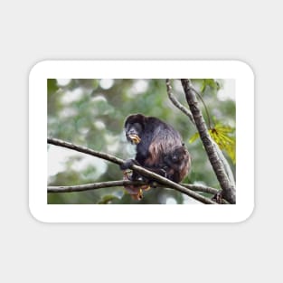 Howler monkey and baby Magnet