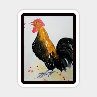 Noisy Rooster strutting its stuff Magnet