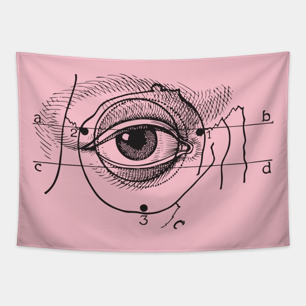 eye anatomy face Tapestry by chapter2