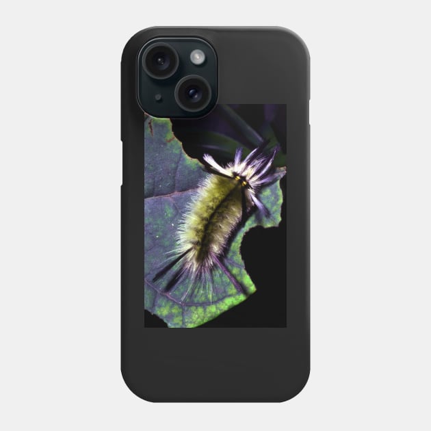 hungry caterpillar Phone Case by lastgasp