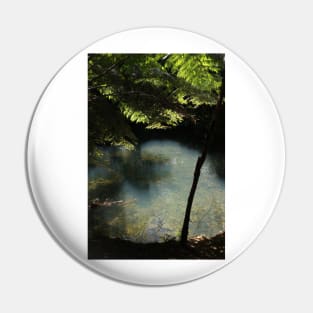 Pond in a hidden forest Pin