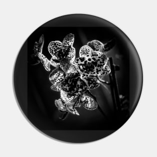 Monochrome Spotted Orchids Pin