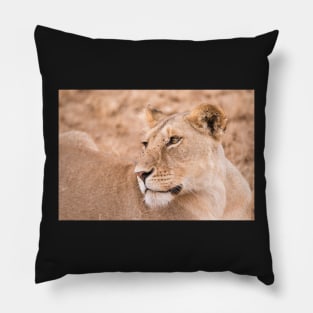 Serengeti Lion #4 Pillow