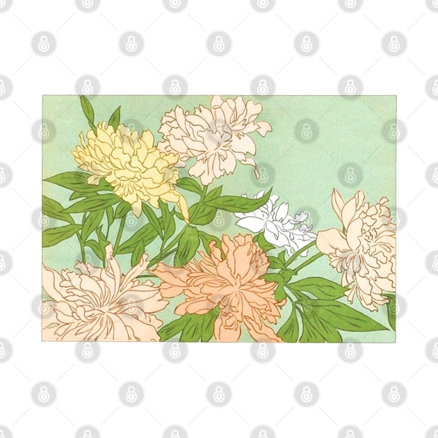 Vintage Victoriana Botanical Chrysanthemum Illustration Design by DankFutura