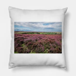 Moorland Heather North York Moors Pillow