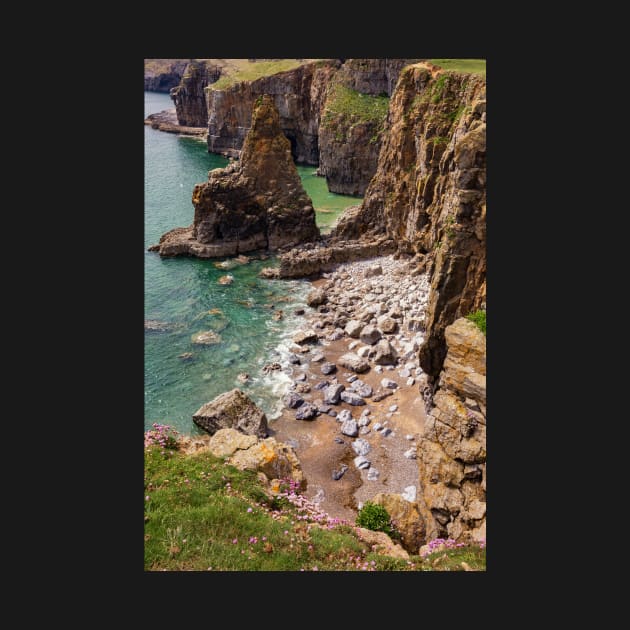 Cliffs between Barafundle Bay and Box Bay, Pembrokeshire by dasantillo