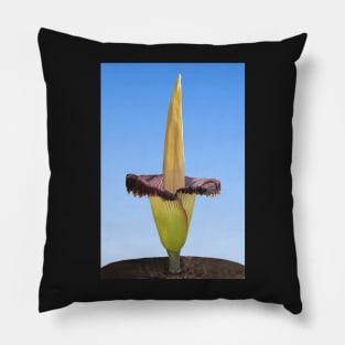 Magnificent Corpse Lily Pillow