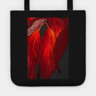 Flaming Dogwood Tote