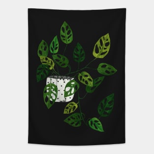 Monstera obliqua plant Tapestry