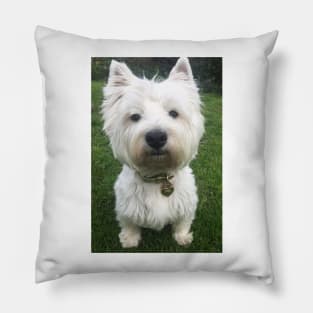 Westie Pillow