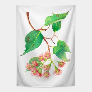 Red flowering eucalyptus branch watercolour Tapestry