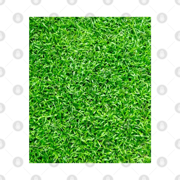 Lush Green Grass Pattern Background by created4heroes