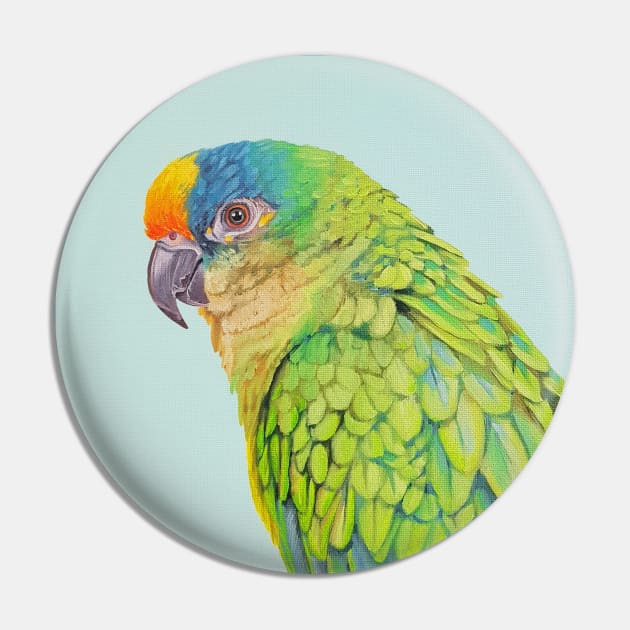 Amazon Parrot bird painting Pin by EmilyBickell