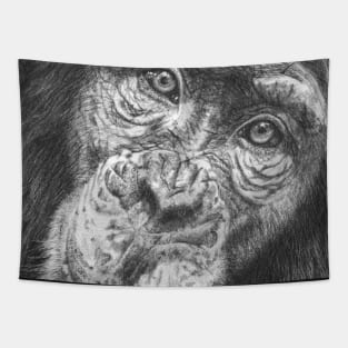 Monkey Business Tapestry