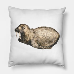 Baby walrus Pillow