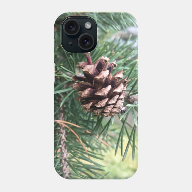 Pine Cone Phone Case by Amanda1775