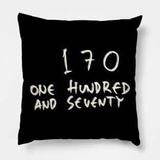 170 Pillow