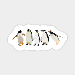 Penguins Magnet