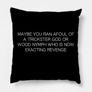 Maybe you ran Afoul of a Trickster God or Wood Nymph who is Now Exacting Revenge Pillow