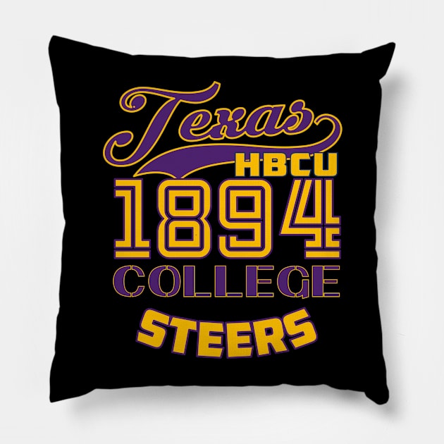 Texas 1894 College Apparel Pillow by HBCU Classic Apparel Co