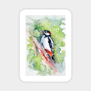 Woodpecker Magnet