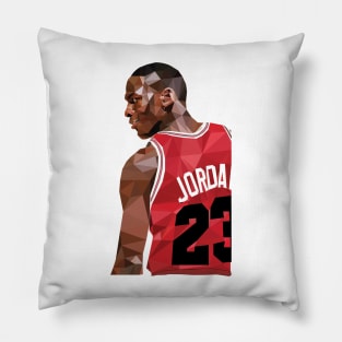 The 23! Pillow