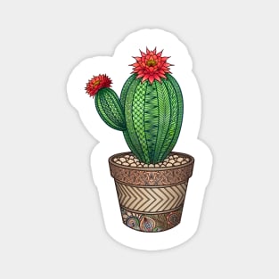 Flowering Cactus zentangle Magnet