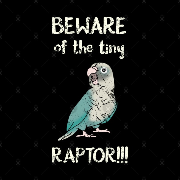 Beware of the tine raptor - cinnamon turquoise conure by FandomizedRose