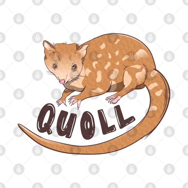 Quoll CUTE MARSUPIAL ANIMAL by mailboxdisco