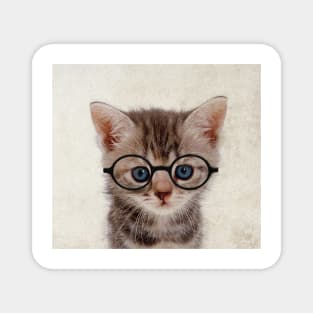 Kitten with Glasses - Print / Home Decor / Wall Art / Poster / Gift / Birthday / Cat Lover Gift / Animal print Canvas Print Magnet