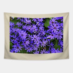 Asters Tapestry