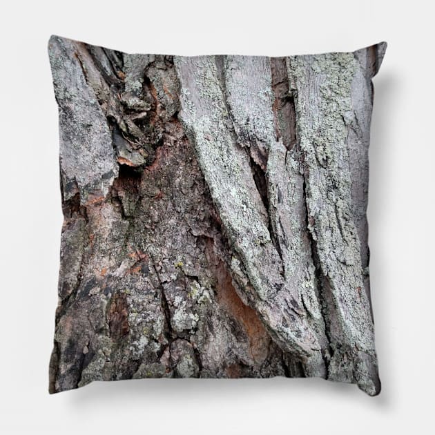 nature photo tree bark Pillow by robrush47