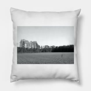 An Acre in wintertime Pillow