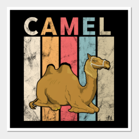 Camels Posters And Art Prints Teepublic
